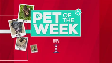 newsregister|register guard pets of the week.